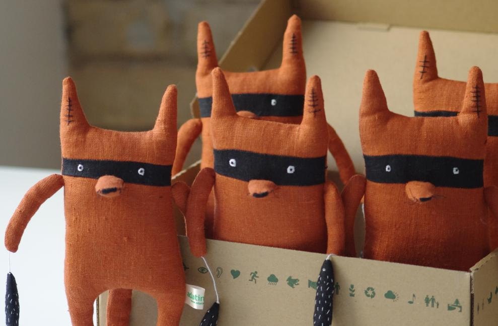 Bandit fox :)