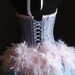 ALICE IN WONDERLAND Burlesque Corset Costume Blue Pink Valentines Sexy prom dress