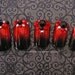 Gothic Nail Art- Maleficent's Prom Press On Nails