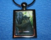 Squirrel Photo Keychain Rectangle Key Chain