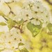 Golden Delicious - 8 x 10 Fine Art Photograph