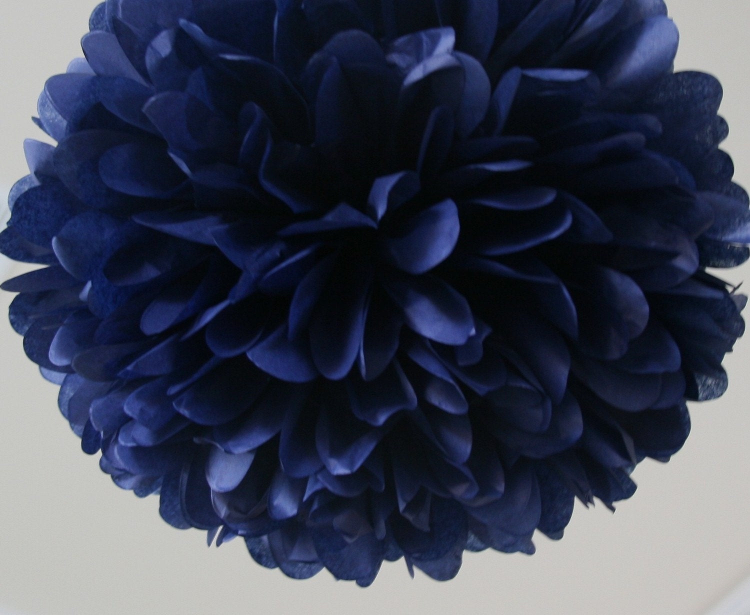 Navy - one pom