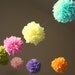 Custom Colors .. DIY Party Poms Garland / Nursery Decor / Gender Reveal / Birthday / Party Decoration