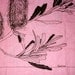 Vintage Pink Handpainted Linen Black Australian Banksia Plant Autumn Botanical