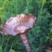 Recycled Upcycled Birdbath Birdfeeder Copper Pink Blue Garden Stake Outdoor Summer