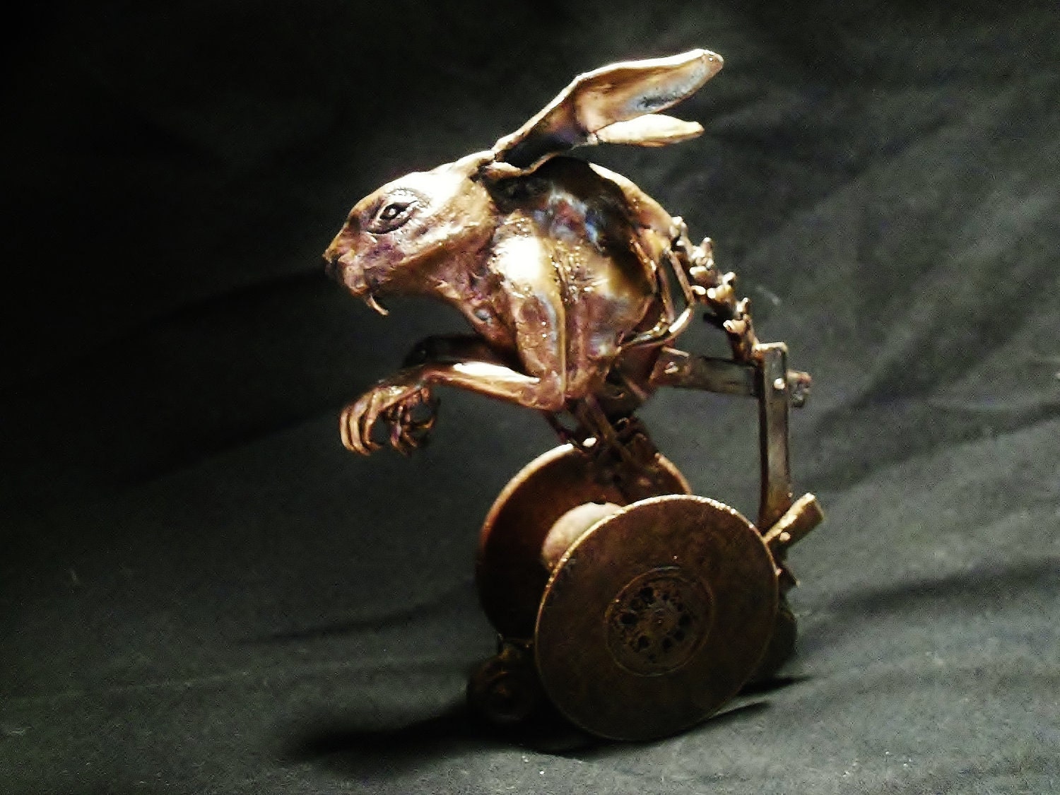 Rabbit