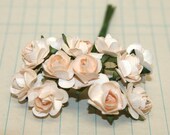 12 Creamy Beige Paper Roses