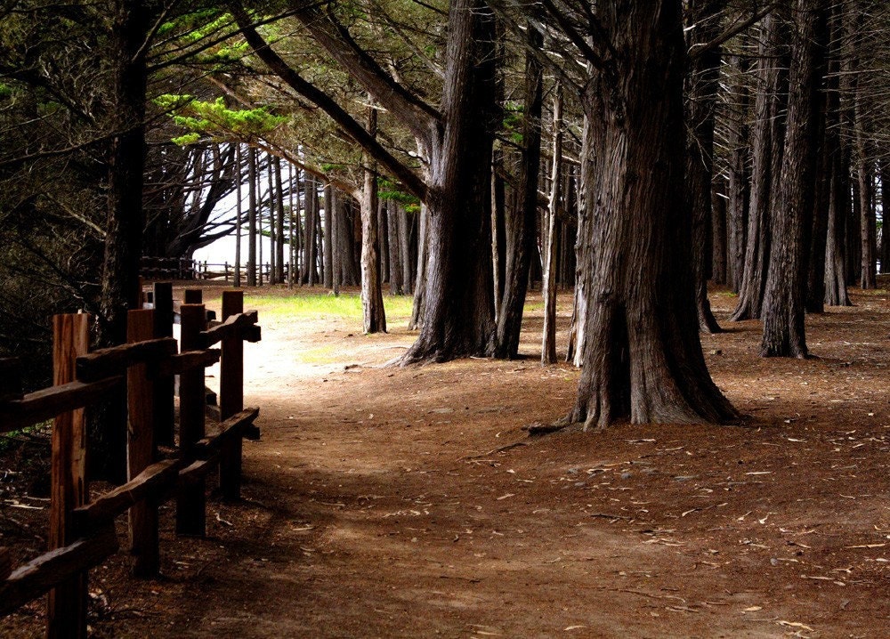 Moss Beach Photo Art Card