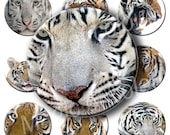 Digital Collage of India Tiger Illustrations - 63  1x1 Inch Circles JPG images - Digital  Collage Sheet