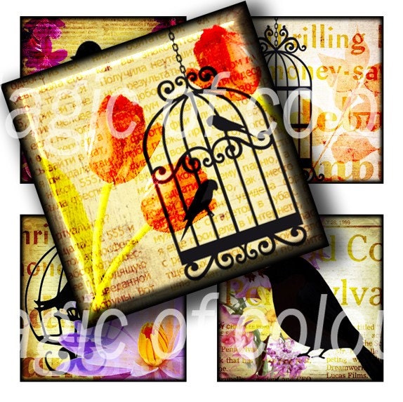 Bird and Birdcage - 63  1x1 Inch Square  JPG images - Digital  Collage Sheet