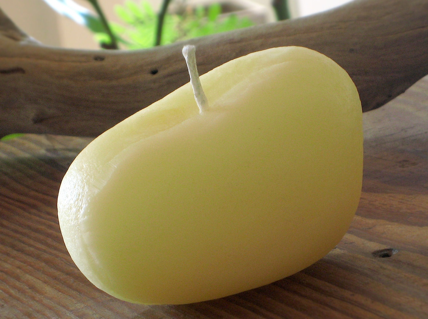 UNA Pure Beeswax ROCA Handmade Candles with Organic Cinnamon, Citrus, Lavender or Eucalyptus Essential Oils