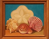Sea Shells Sand Dollar Still Life Oil Painting 8x10
