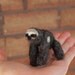 Mojave the Pocket Sloth