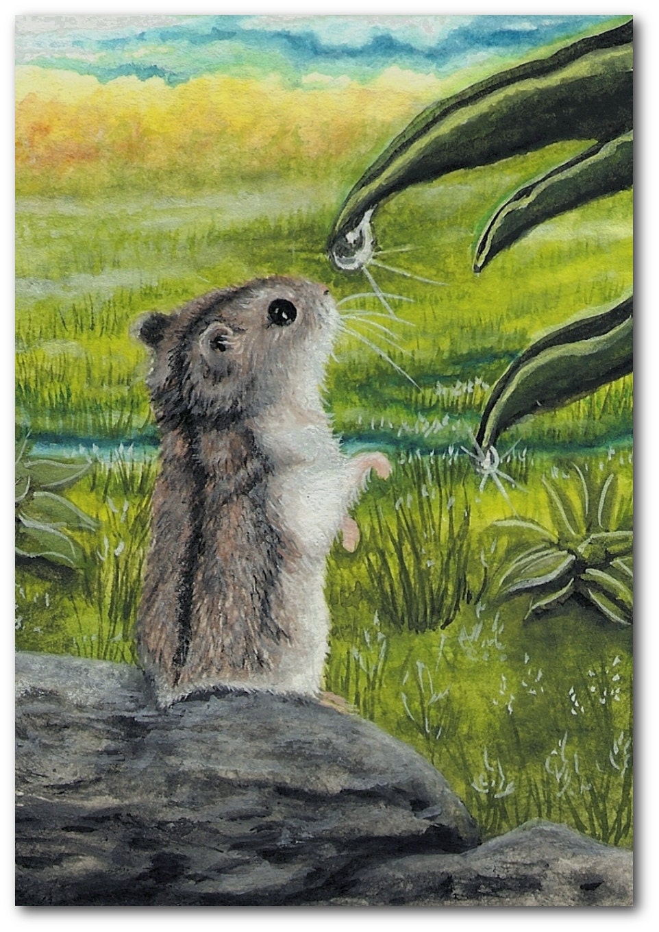Wildlife Hamster Dew Drop Nature ArT -  5x7 Print by AmyLyn Bihrle
