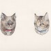 Double Pet Portrait Commission