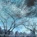 Nature Photography - Dreamy Surreal Trees - Fantasy Nature Photo Blue Trees, Surreal Blue Nature, Fine Art Photo 8" x 12"