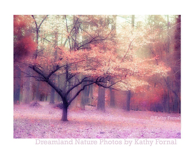 Nature Photography, Dreamy Spring Woodlands Landscape, Pink, Purple, Orange, Fine Art Fantasy Tree Nature Photo 9" x 12"