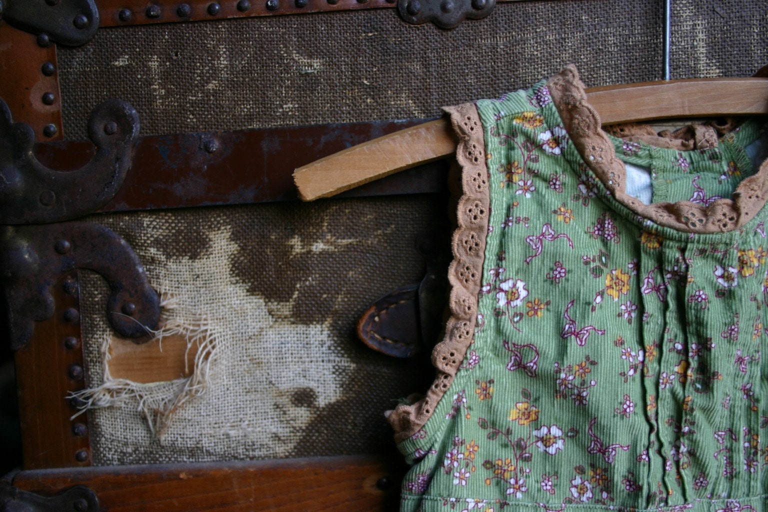 Aida's Farm Dress