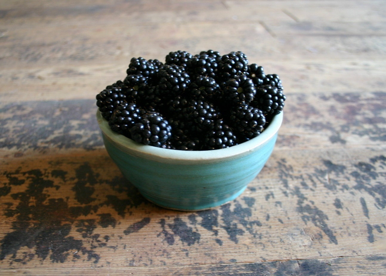 Mountain Blackberries - Photography Print