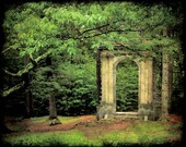 Surreal ruins, forest, woodland, architecture, arch, home decor wall art - In through the outdoor 8 x 10