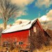 Red abandoned barn photo antique vintage farmhouse turquoise blue sky shabby chic   - Abandoned Barn 8 x 10