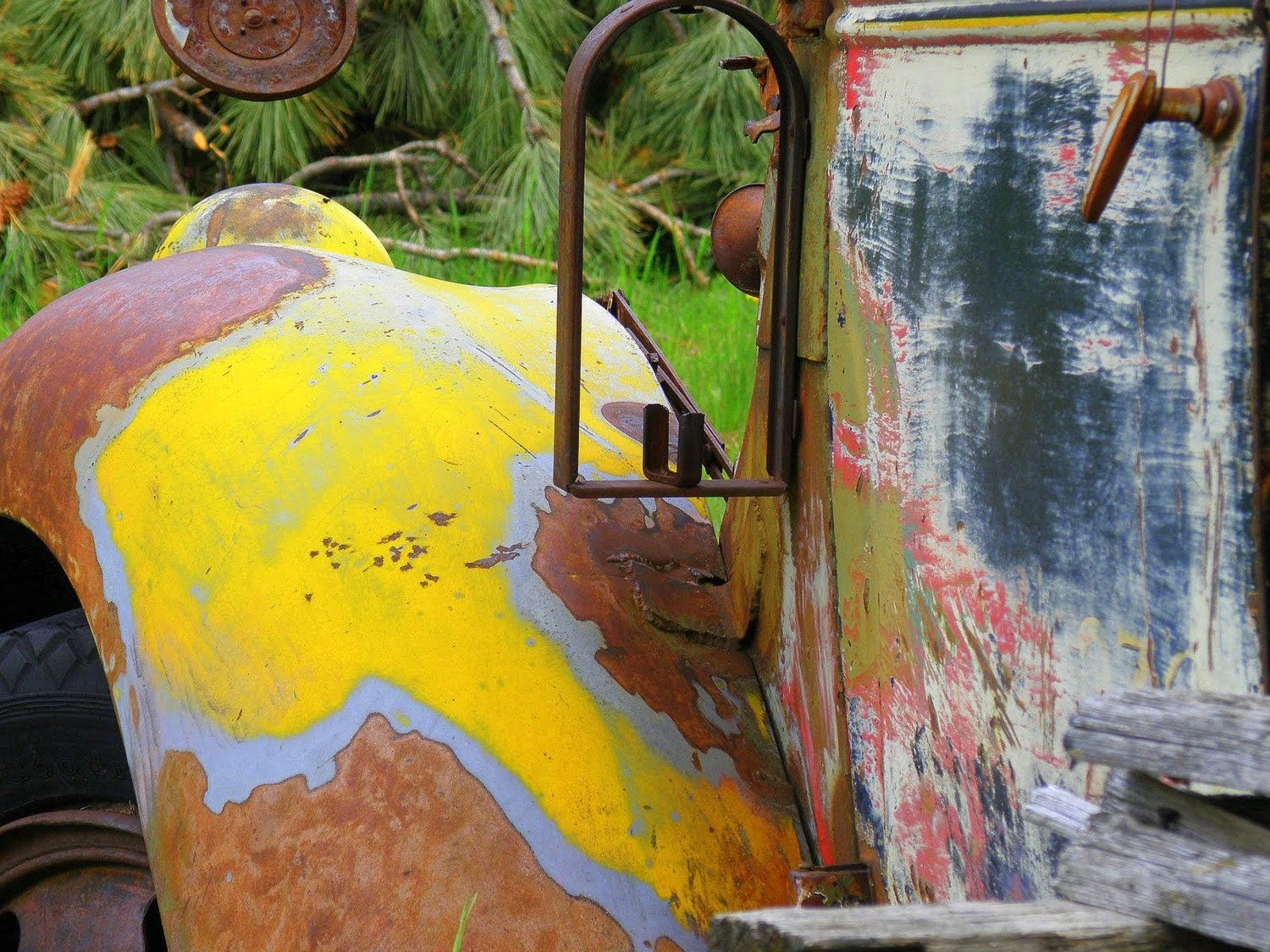 Long Time Passing - Kira Tabor Lewis photography art print
