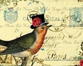 Black Top Hat Bird Postcard 5x7 Digital Collage Sheet - roses handmade greeting cards printable art paper supplies - U Print