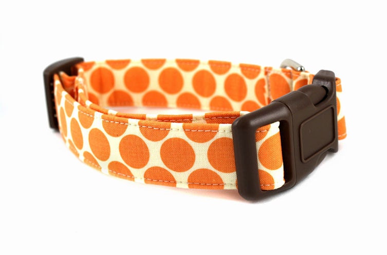 Tangerine Polka Dots Dog Collar - Fresh Dots in Tangerine