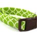 Geometric Lime Dog Collar - Mod Dog in Luscious Lime - Your Choice of Size