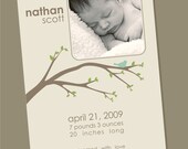 Spring Branches - Birth Announcement