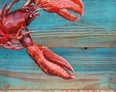 Lobster at Sea -"Lobster Blissque "- Fine art print 8x10