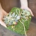 Natural Moss Wedding Ring Pillow with Succulents