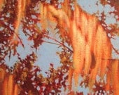 Trees with Spanish moss Golden Hour 3 12x12 acrylic landscape painting