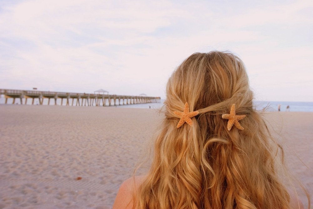 Two small sugar starfish barrettes