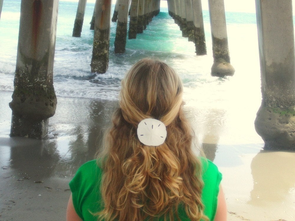 Sand Dollar barrette