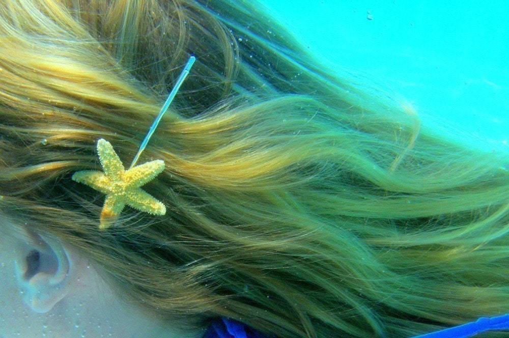 Sugar starfish bobby pin