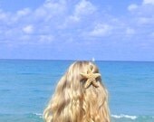 Natural large sugar starfish alligator clip