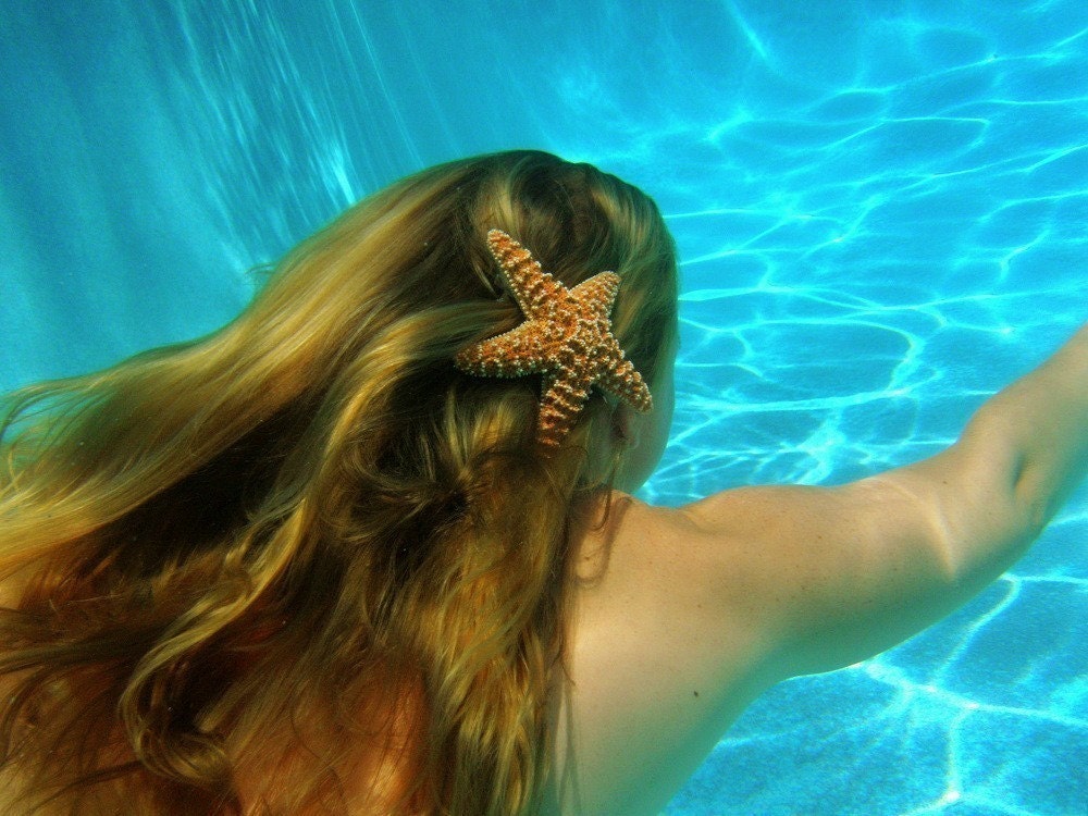The Original 5in Sugar starfish barrette
