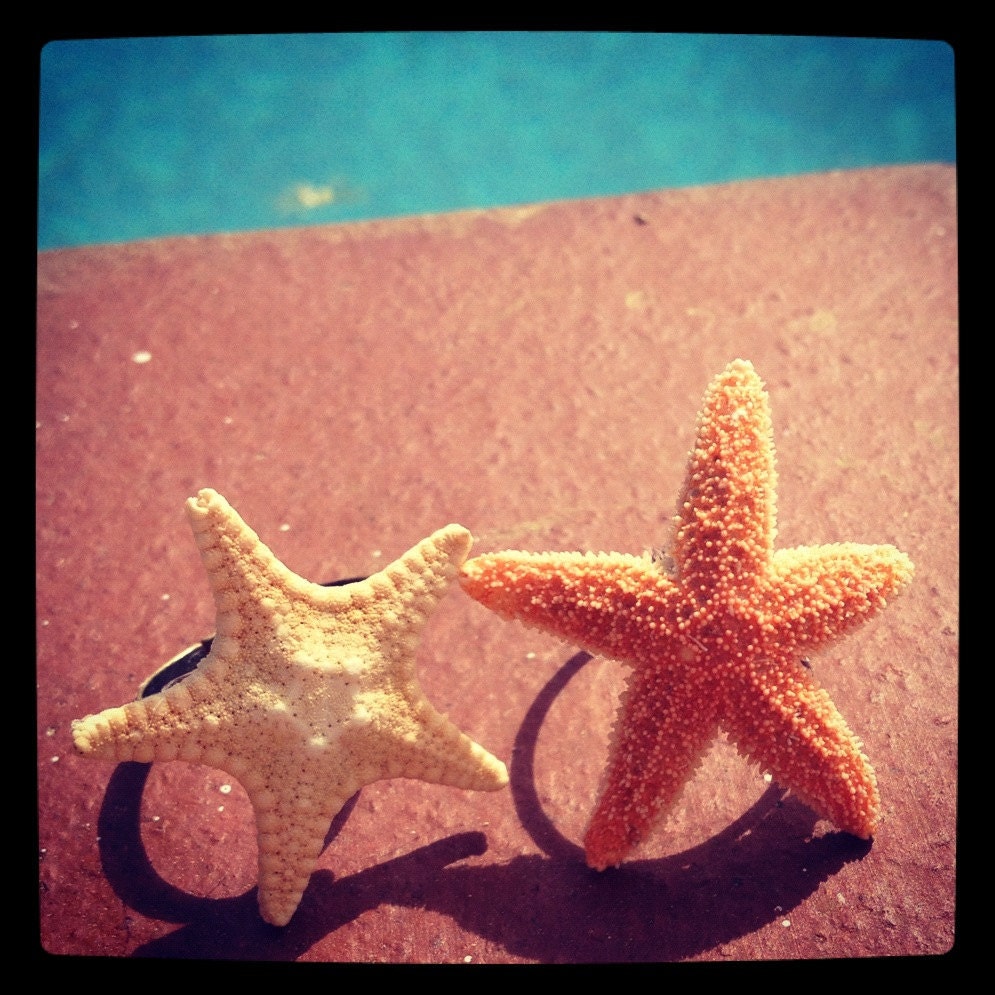 Sugar starfish ring
