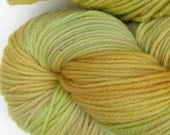 March Hare hand dyed worsted weight yarn, 4ply superwash merino, 100g 220yds - Horned Melon 3