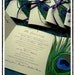 MELODIE Peacock Themed Petit Wedding Programs Deep Purple and Champagne