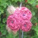 Dashing...Flower and Feather Headband