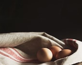 Brown Eggs 8x10 photo