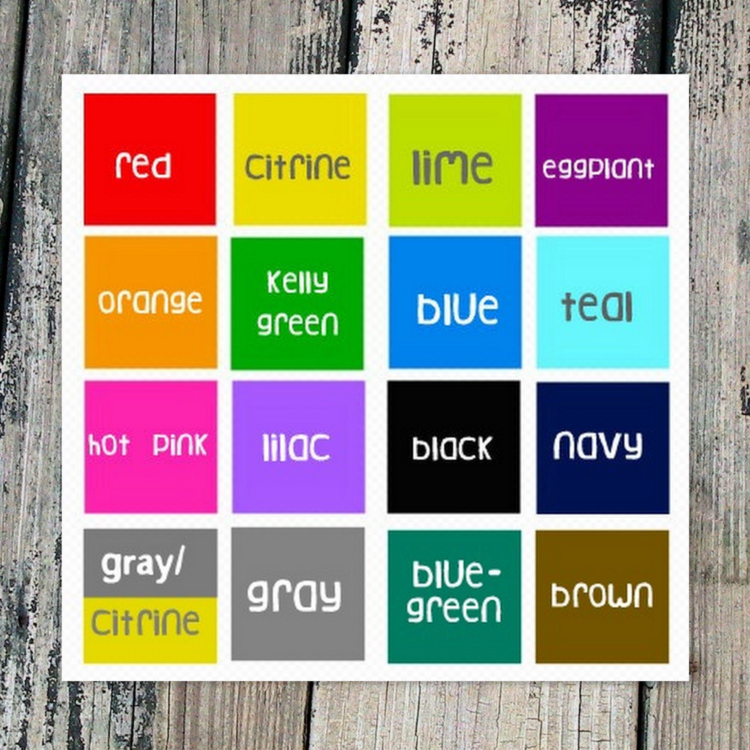 The Original "Hello My Name Is" Silver Pet ID Tag -As Seen In Modern Dog Magazine