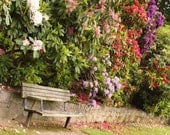 Garden Bench - Flowers Portland Oregon Photography Pretty Green Brown Pink Purple Fine Art Silk Print - 8x10 Photograph