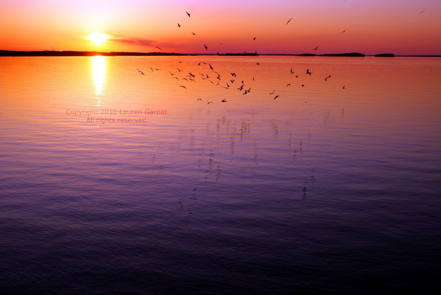 Flight - 8x10 Photograph - Sunset Sunrise Purple Pink Orange Yellow Lake Murray Water Nautical Fine Art Metallic Print - FlashForward