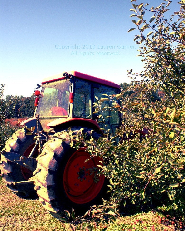 Tractor in the Orchard - Farm Apples Photography Blue Orange Green Autumn Spring North Carolina NC Fine Art Lustre Print - 8x10 Photograph - FlashForward