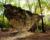 Peachtree Rock - Woodland Forest South Carolina Photography Lexington Swansea Photograph Fine Art Wall Hanging Decor - 8x10 Photograph
