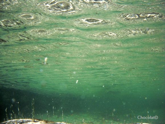 Infinity -  underwater fine art photography print 8 x 10