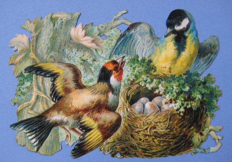 1890's Vintage Bird Decor Rustic Home Bird Nest Eggs Victorian Scrap